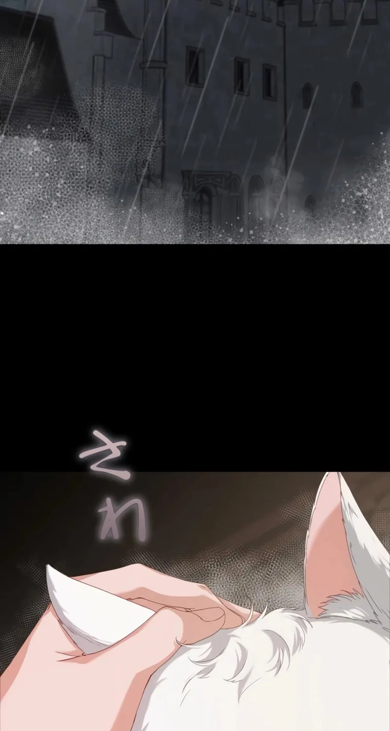 The Arranged Suitor Was the Kidnapper Chapter 2 page 3 - 