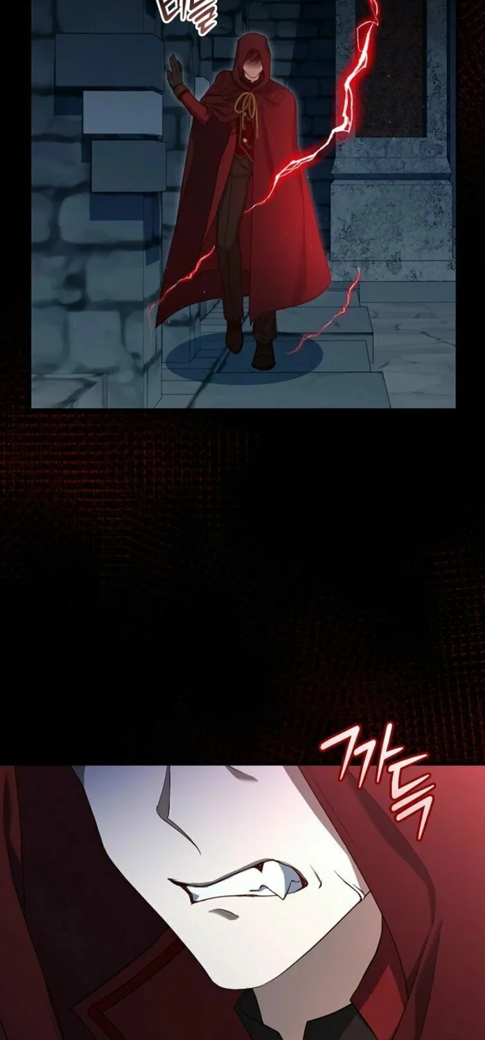The Arranged Suitor Was the Kidnapper Chapter 21 page 66 - 