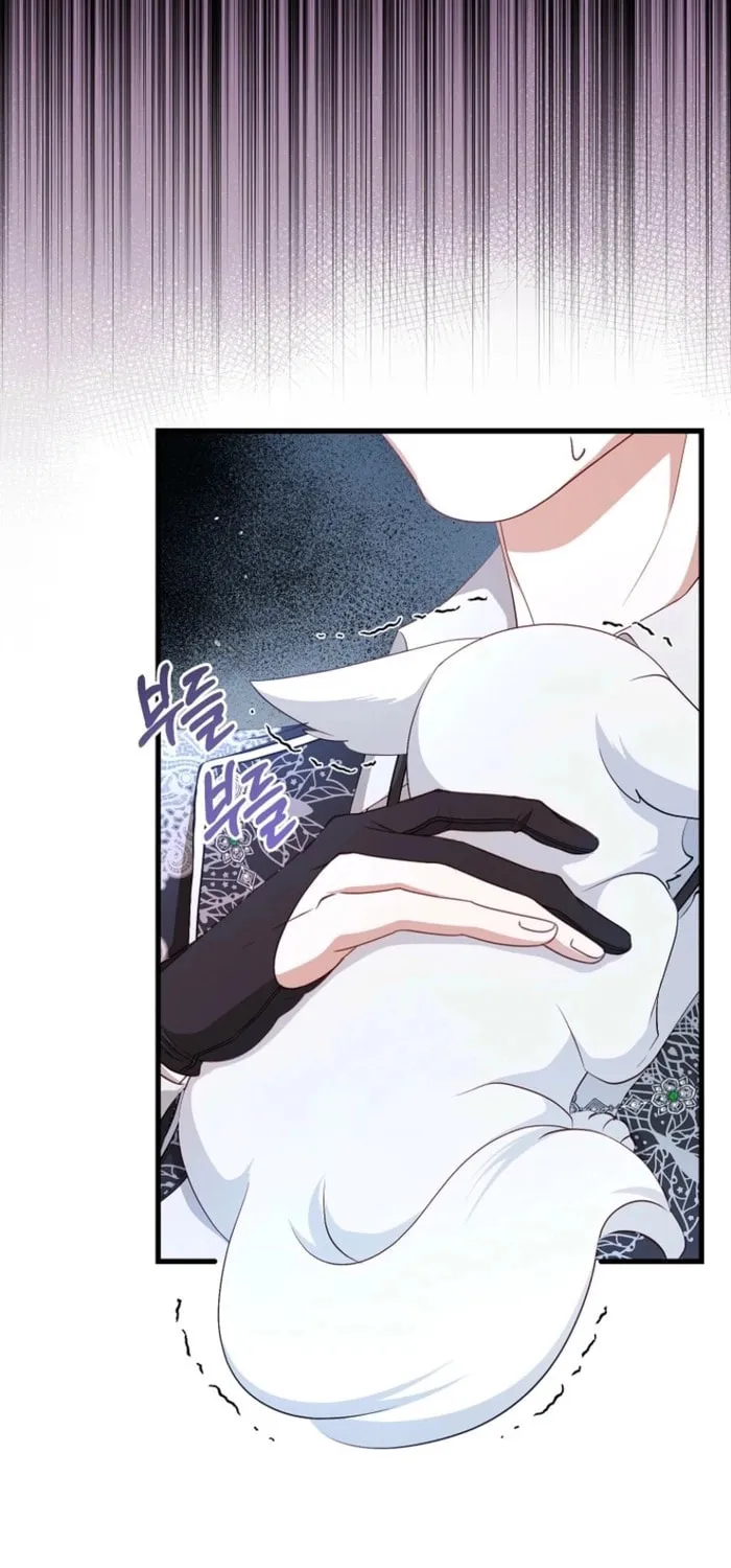 The Arranged Suitor Was the Kidnapper Chapter 23 page 31 - 