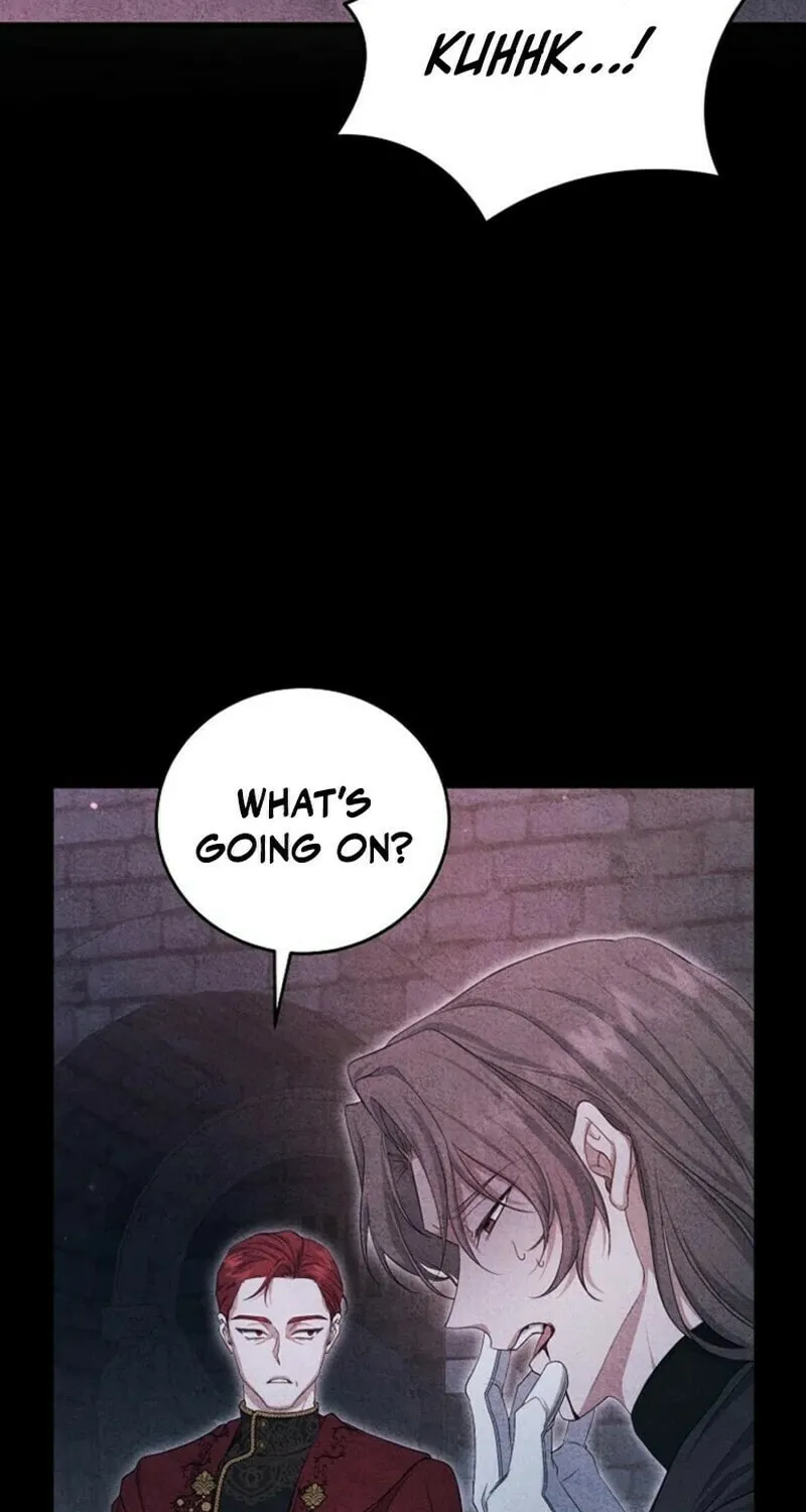 The Arranged Suitor Was the Kidnapper Chapter 24 page 6 - 