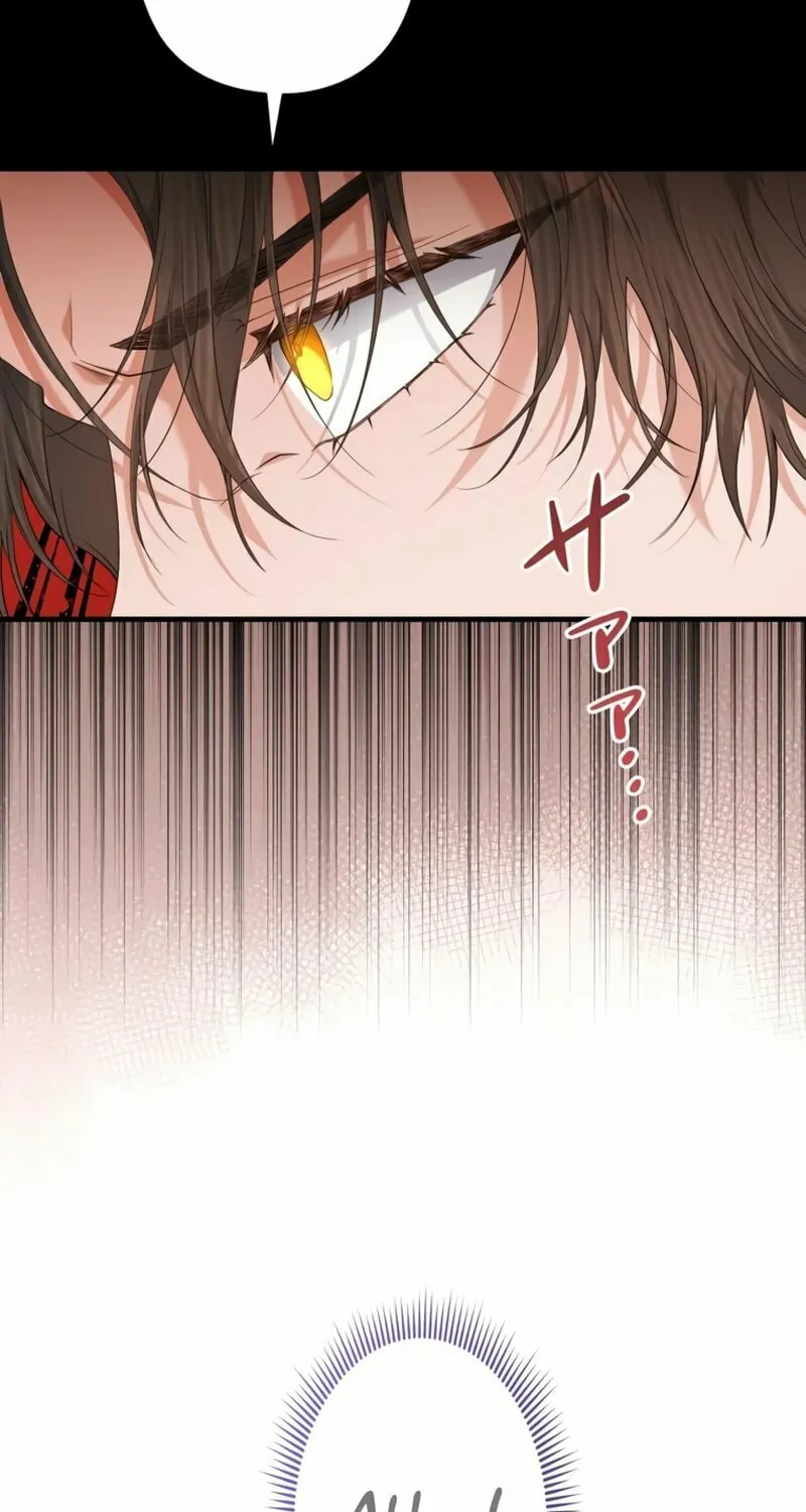 The Arranged Suitor Was the Kidnapper Chapter 5 page 9 - 