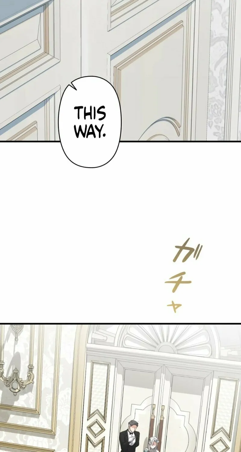 The Arranged Suitor Was the Kidnapper Chapter 5 page 85 - 