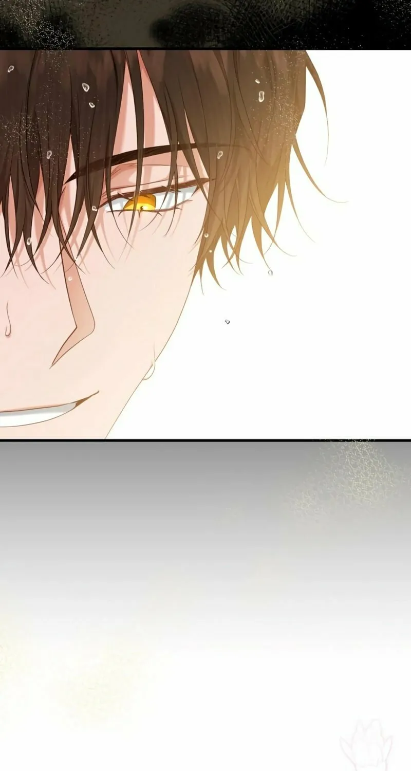 The Arranged Suitor Was the Kidnapper Chapter 7 page 12 - 