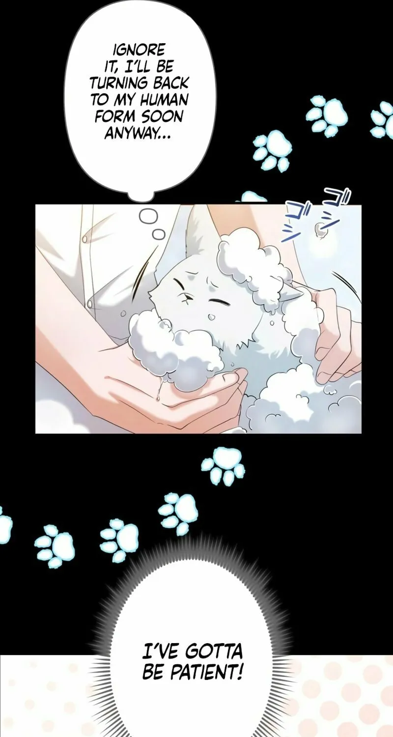 The Arranged Suitor Was the Kidnapper Chapter 7 page 36 - 