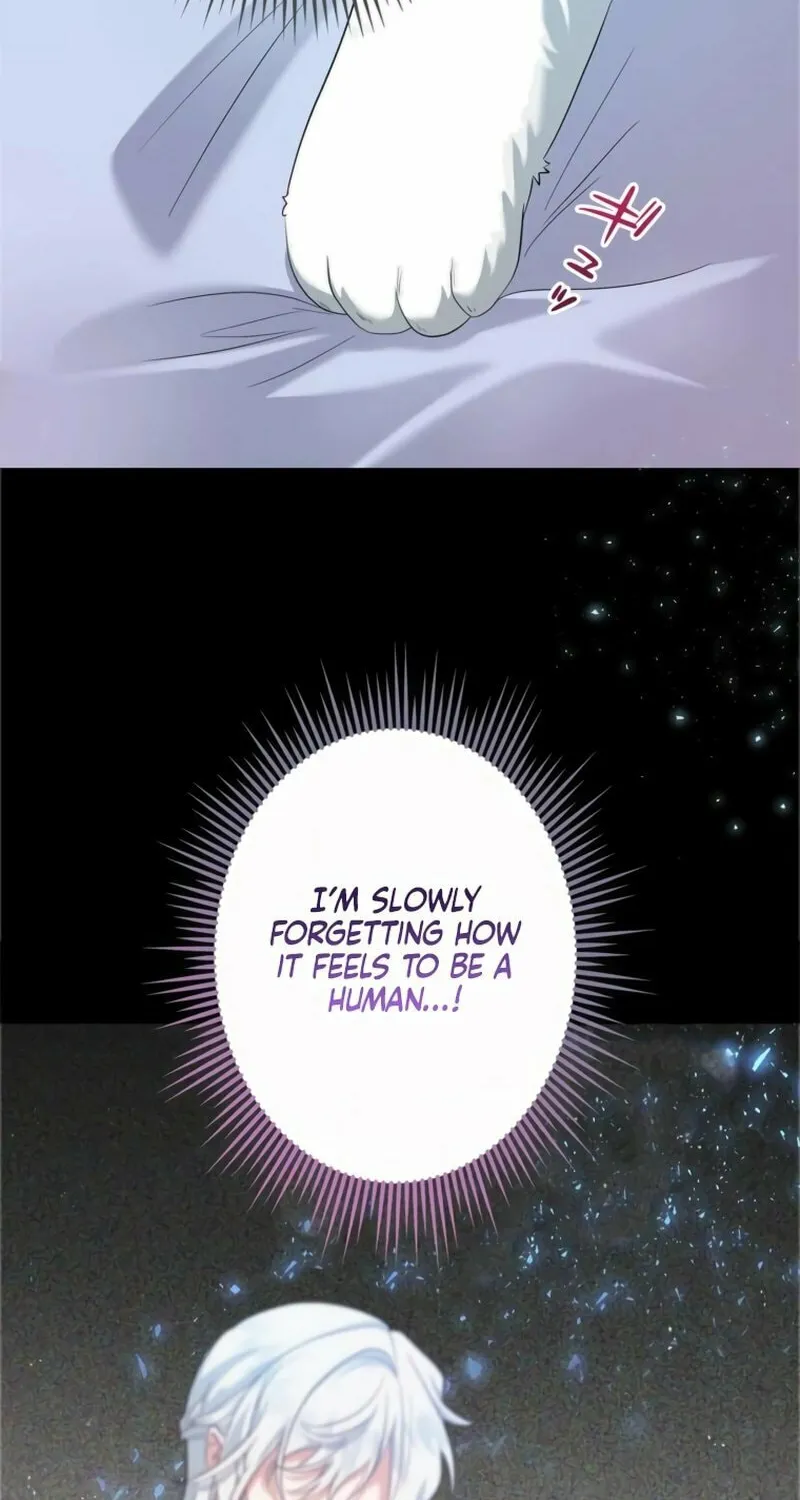 The Arranged Suitor Was the Kidnapper Chapter 7 page 47 - 