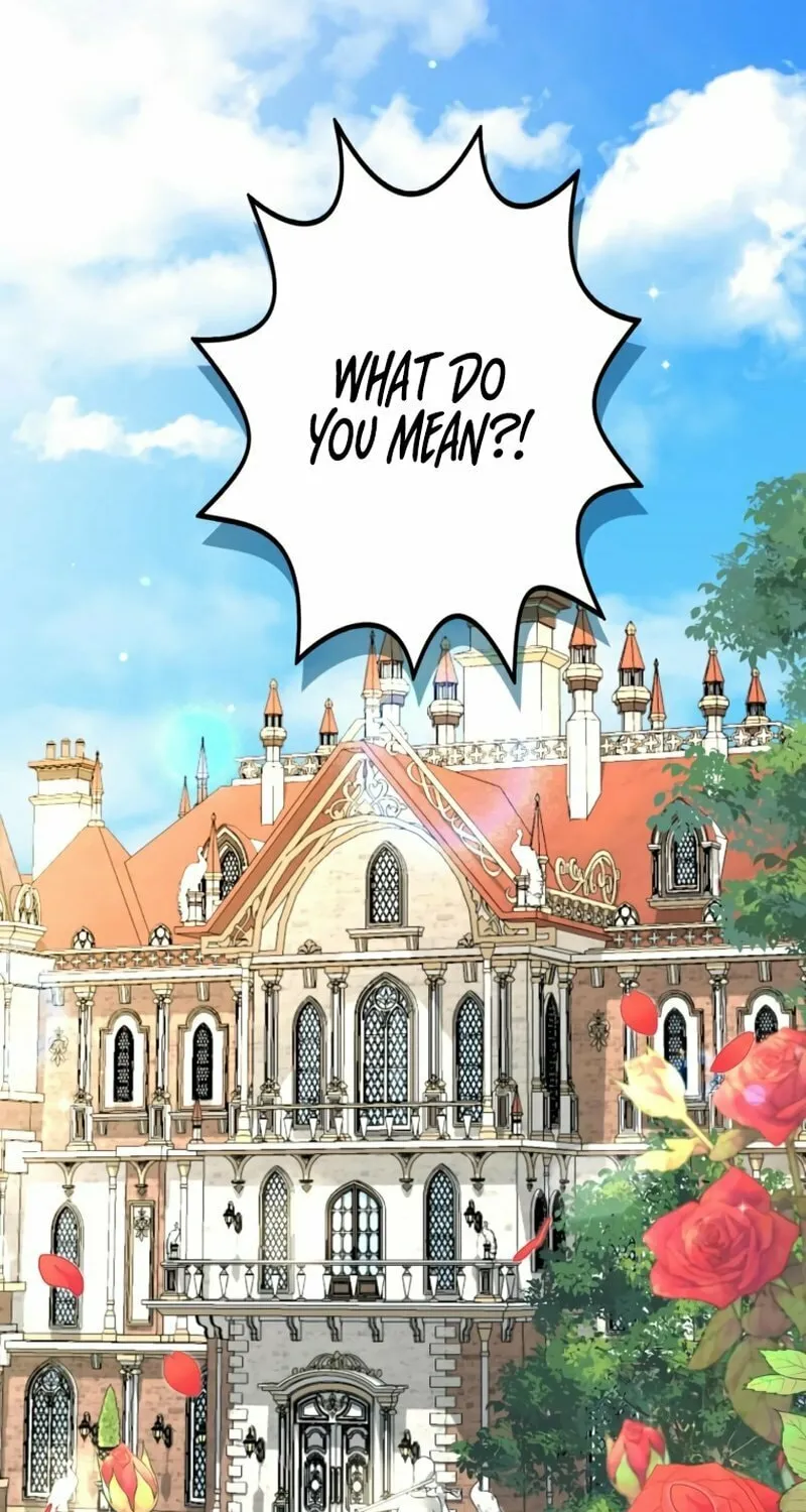 The Arranged Suitor Was the Kidnapper Chapter 9 page 2 - 