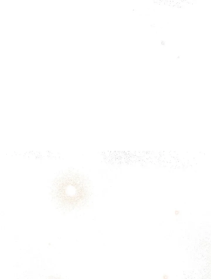 The atmosphere of the novel is in crisis Chapter 14 page 28 - 