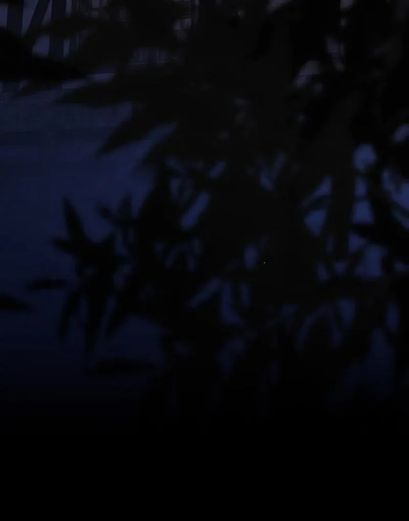 The atmosphere of the novel is in crisis Chapter 21 page 161 - 
