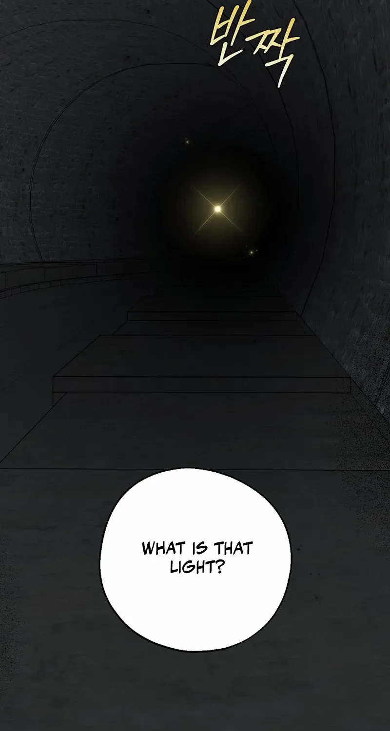 The atmosphere of the novel is in crisis Chapter 23 page 110 - 