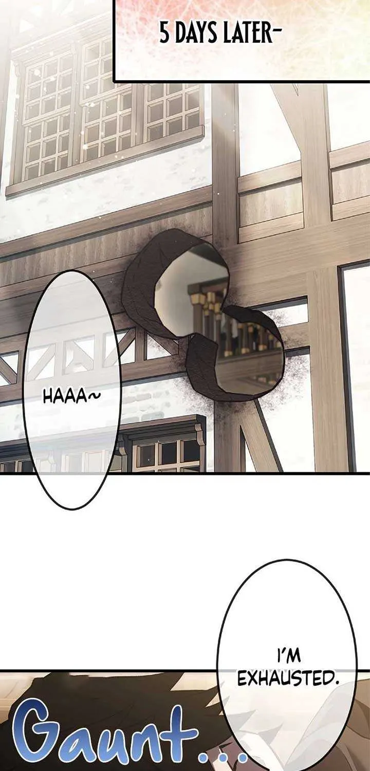 The Awakening of light Magic Chapter 26 page 3 - 