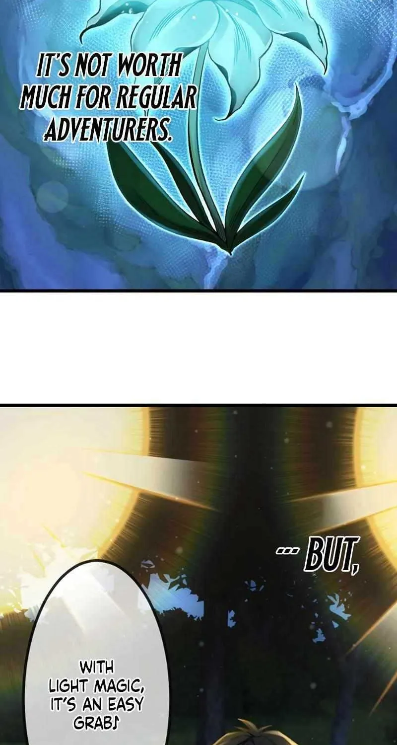 The Awakening of light Magic Chapter 3 page 7 - 