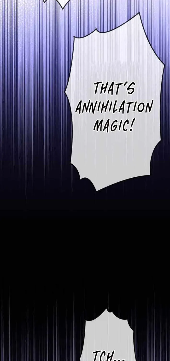 The Awakening of light Magic Chapter 63.1 page 11 - 