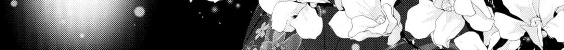 The Ayakashi Hunter