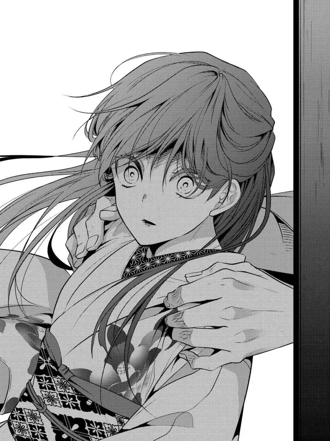 The Ayakashi Hunter
