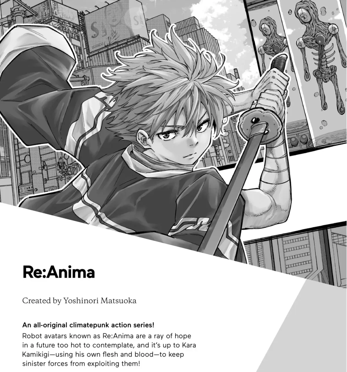 The Ayakashi Hunter