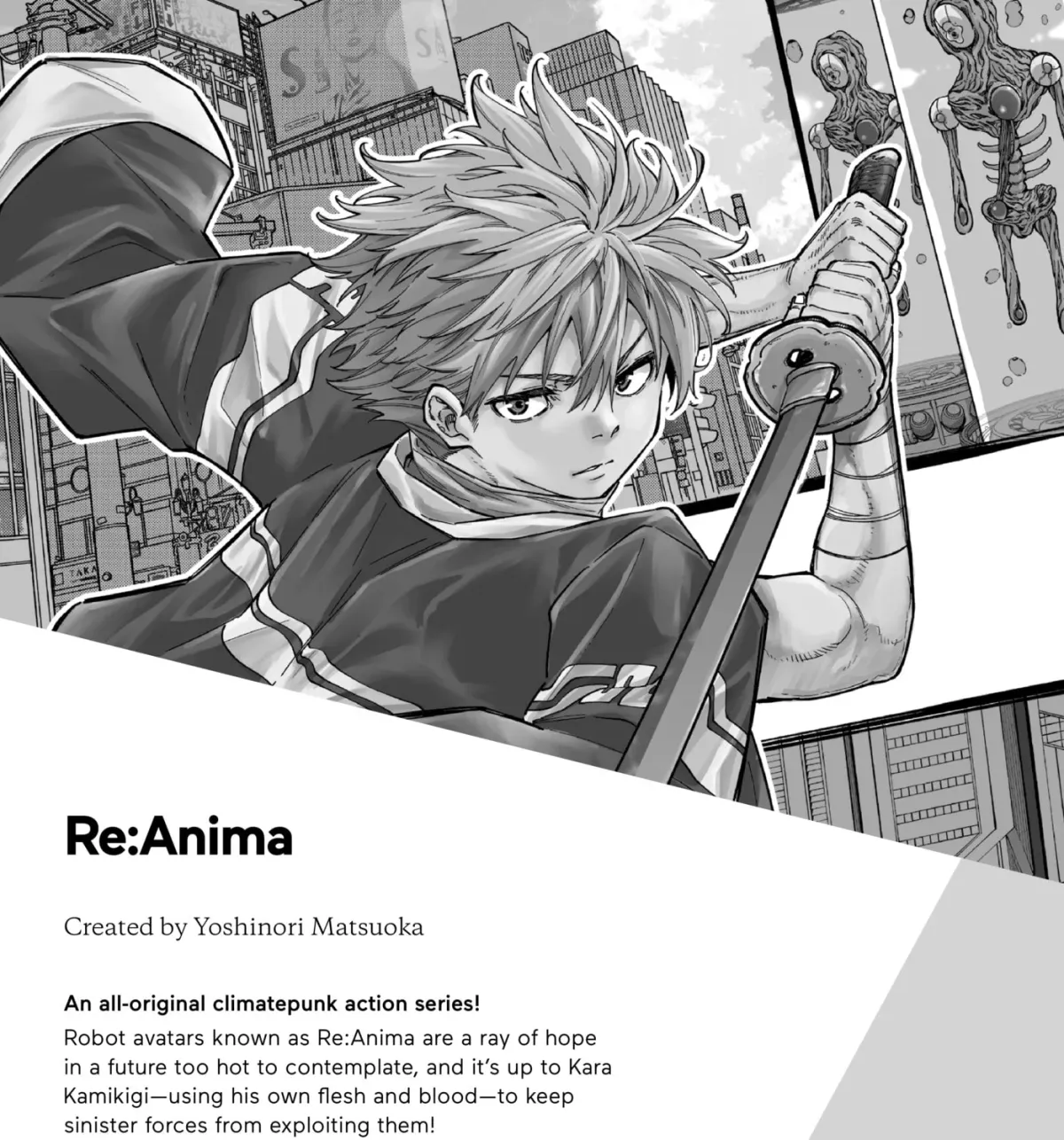 The Ayakashi Hunter