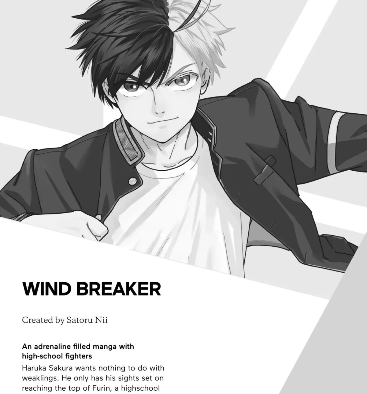 The Ayakashi Hunter