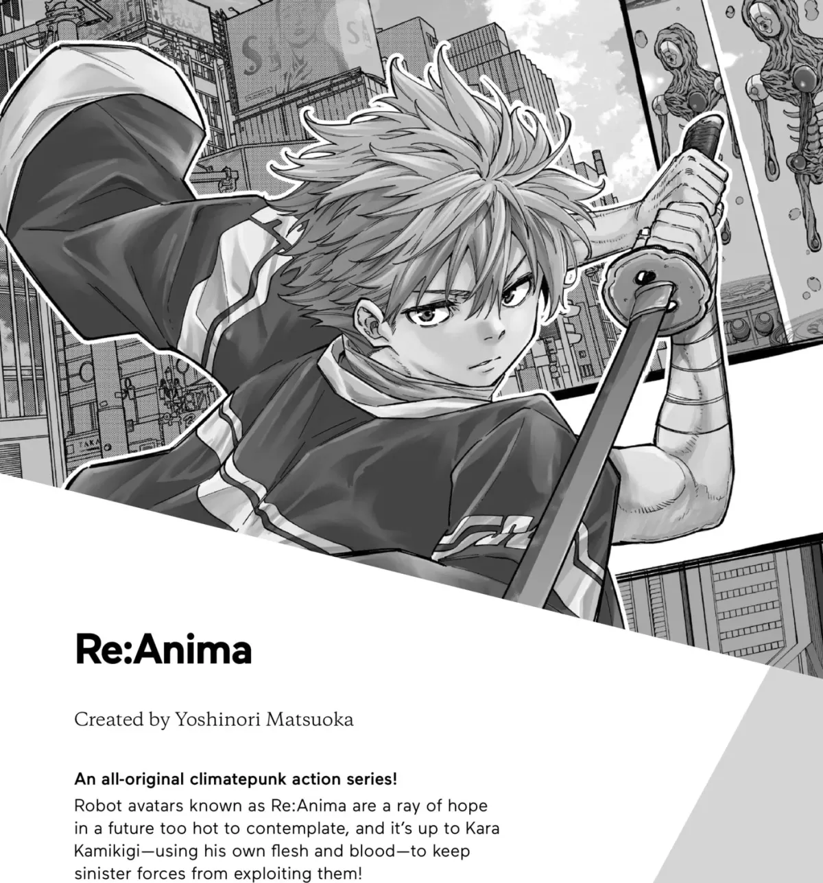 The Ayakashi Hunter