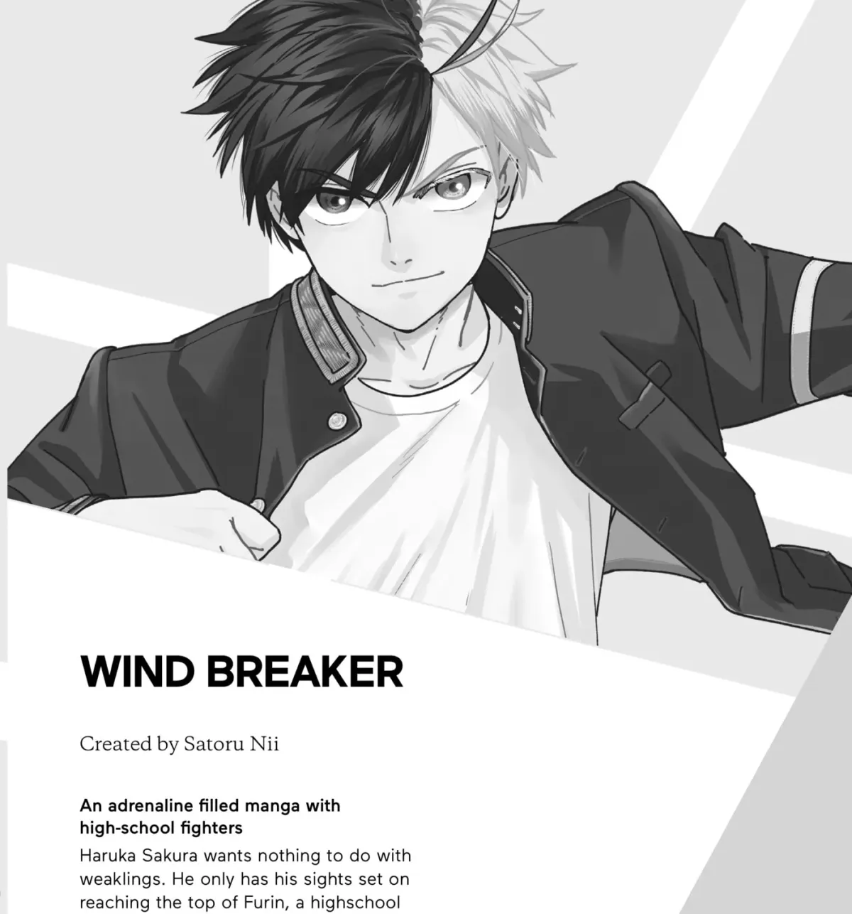 The Ayakashi Hunter