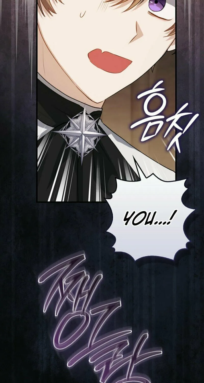 The Baby Fairy is a Villain Chapter 11 page 98 - 