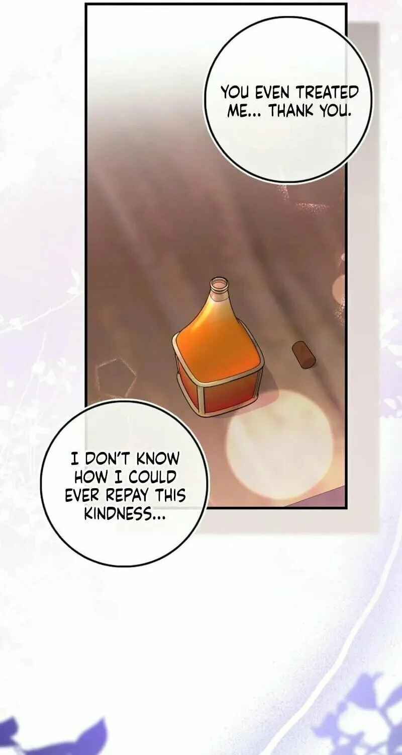 The Baby Fairy is a Villain Chapter 13 page 13 - 
