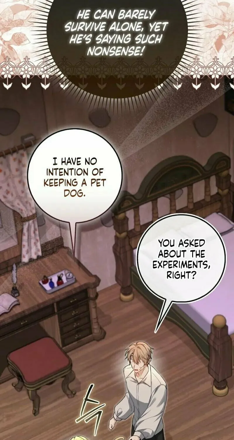 The Baby Fairy is a Villain Chapter 13 page 27 - 