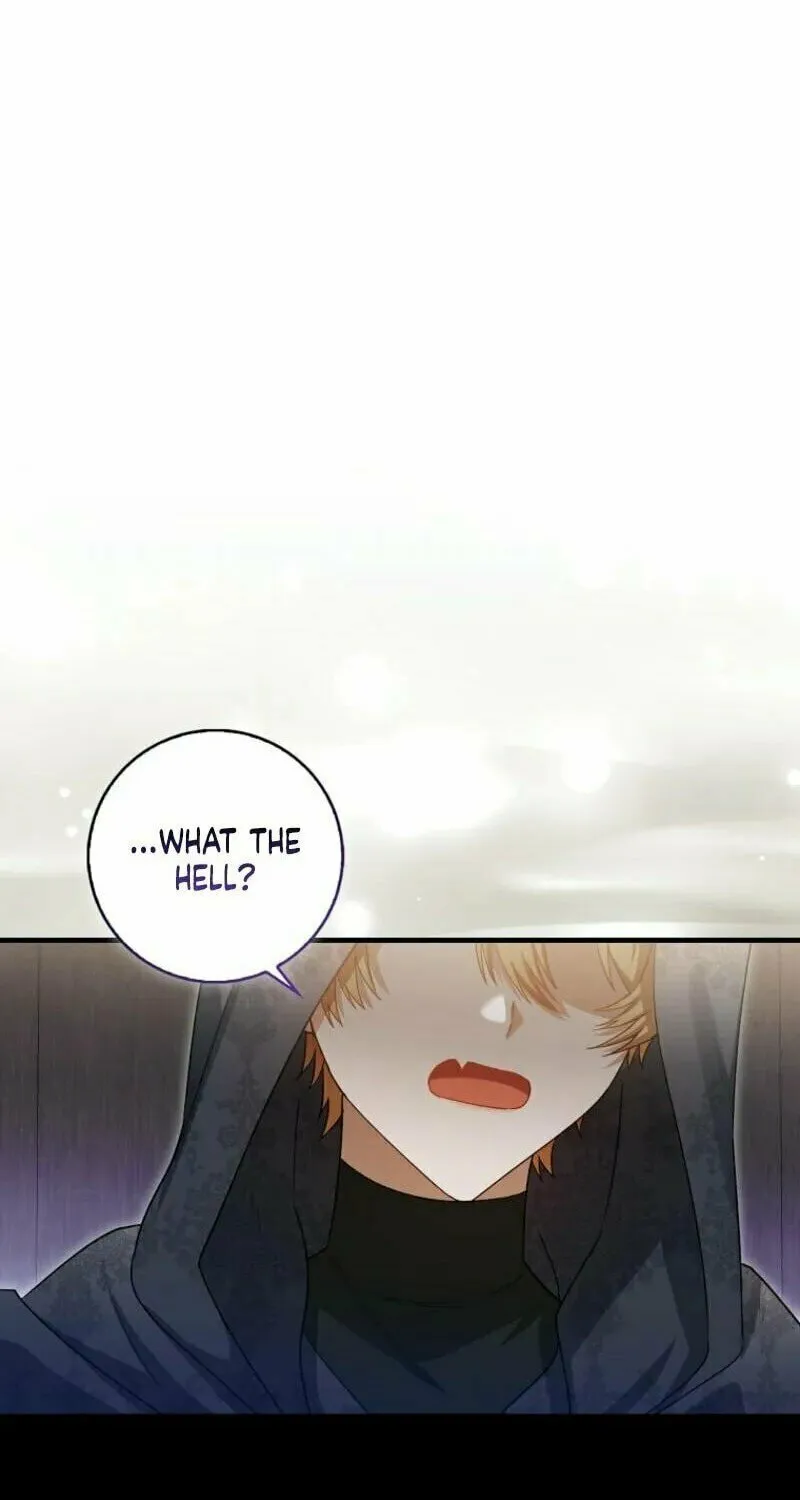 The Baby Fairy is a Villain Chapter 13 page 89 - 