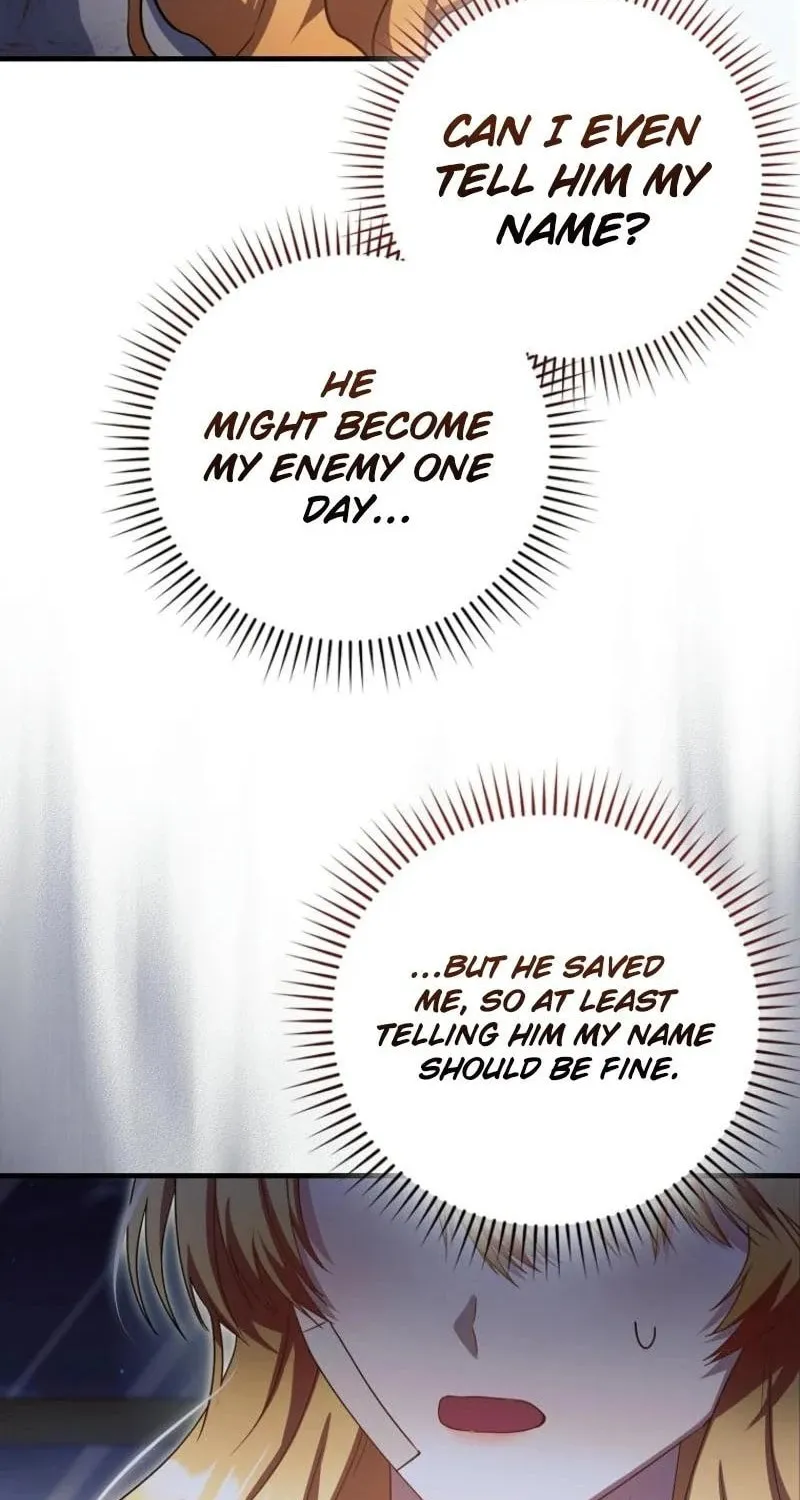 The Baby Fairy is a Villain Chapter 16 page 29 - 