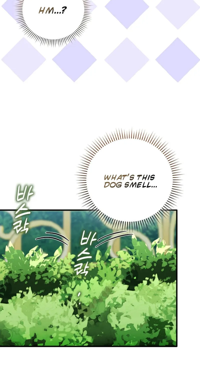 The Baby Fairy is a Villain Chapter 17 page 85 - 