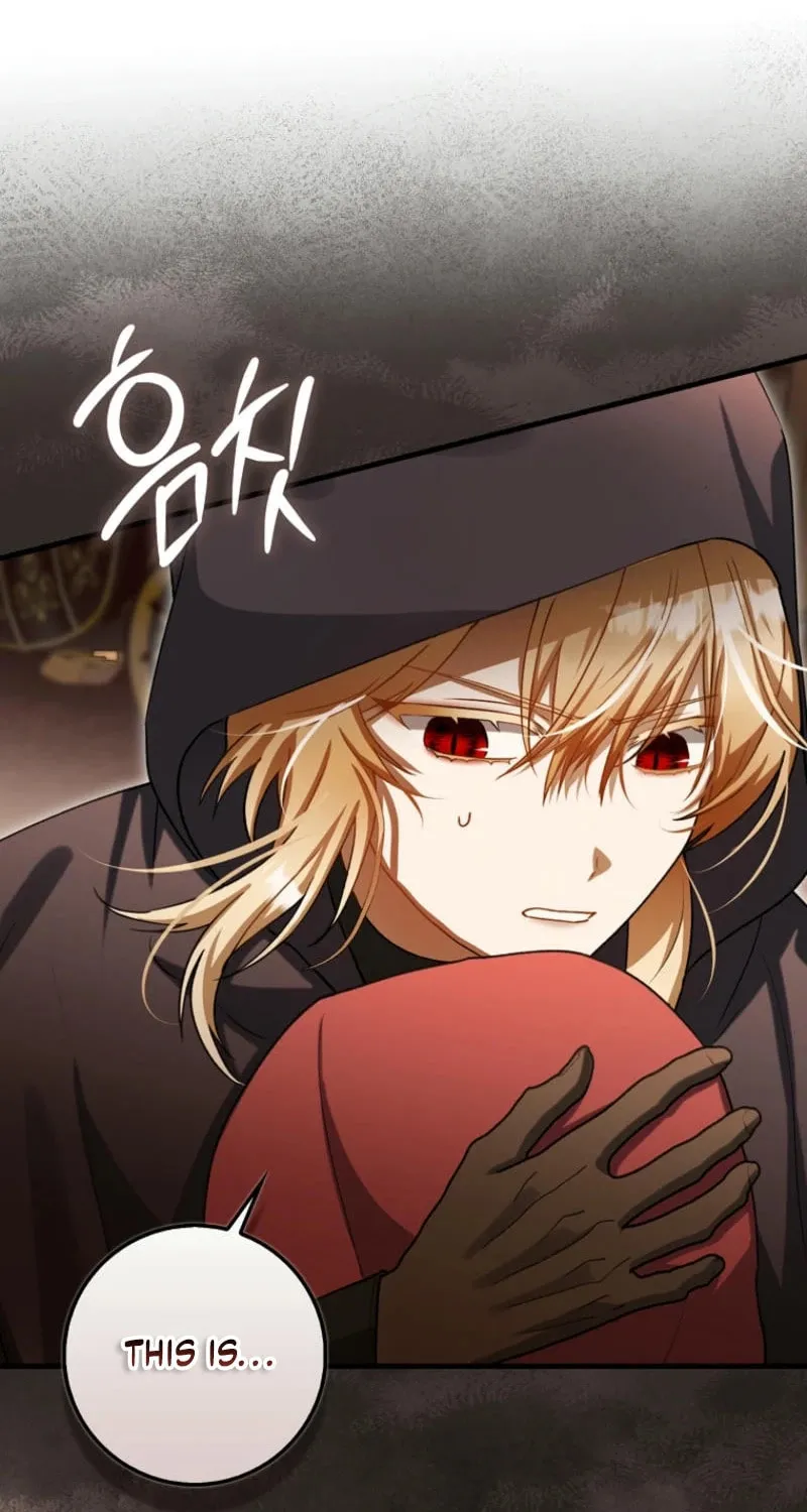 The Baby Fairy is a Villain Chapter 19 page 100 - 