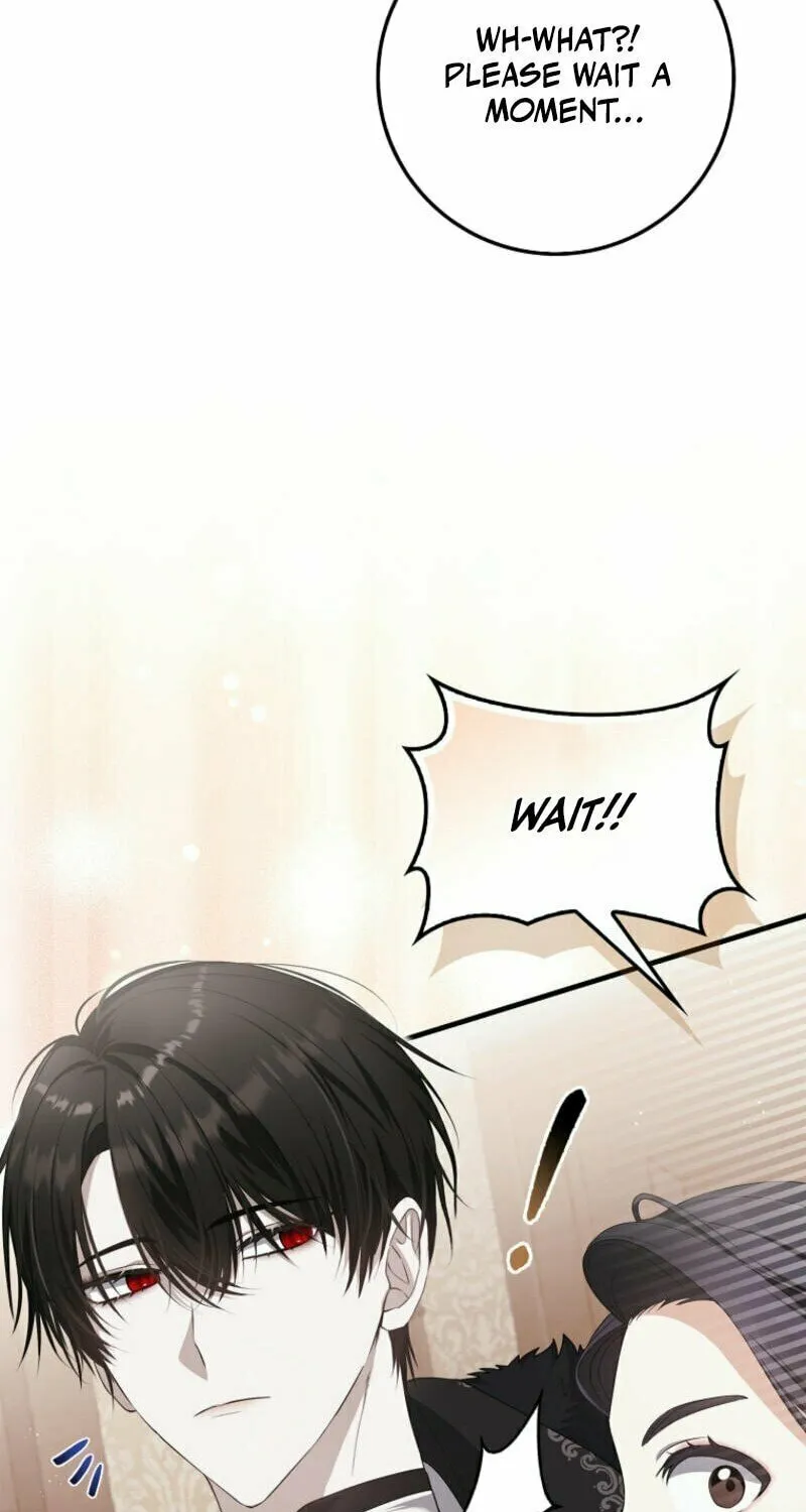 The Baby Fairy is a Villain Chapter 2 page 17 - 