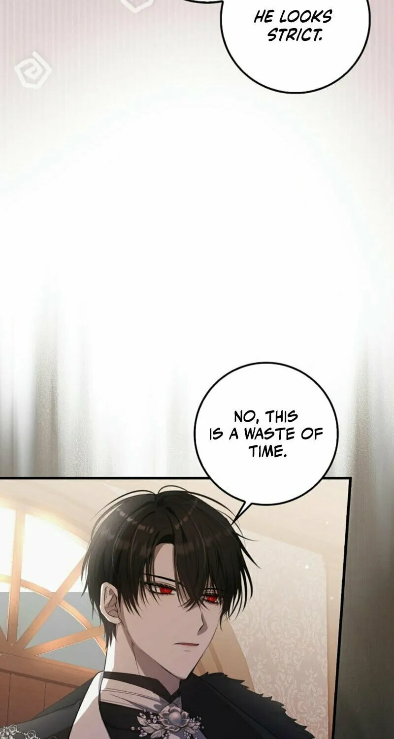 The Baby Fairy is a Villain Chapter 2 page 10 - 