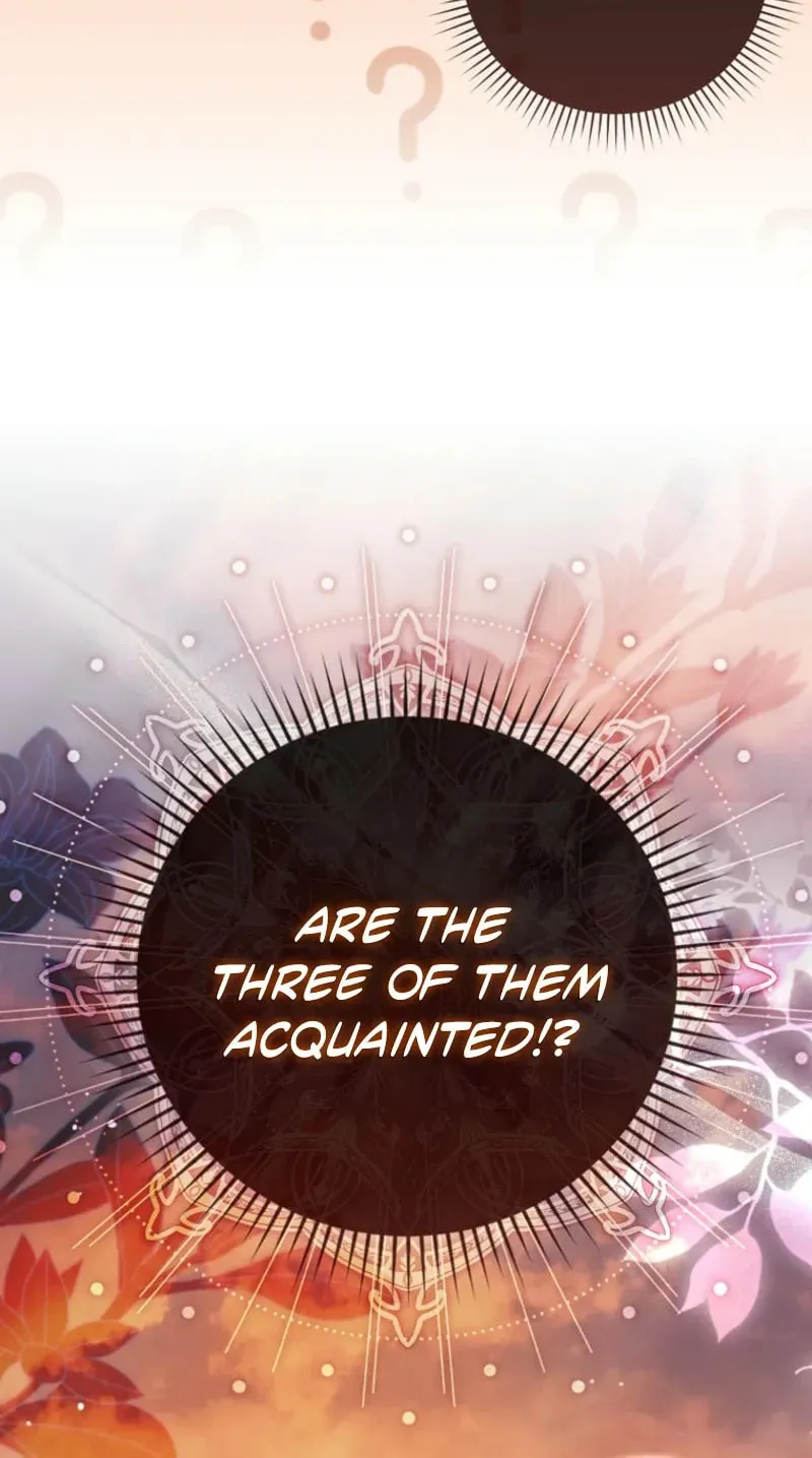 The Baby Fairy is a Villain Chapter 20 page 40 - 