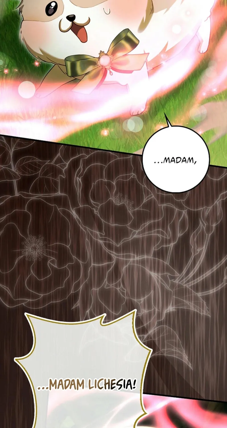 The Baby Fairy is a Villain Chapter 22 page 86 - 