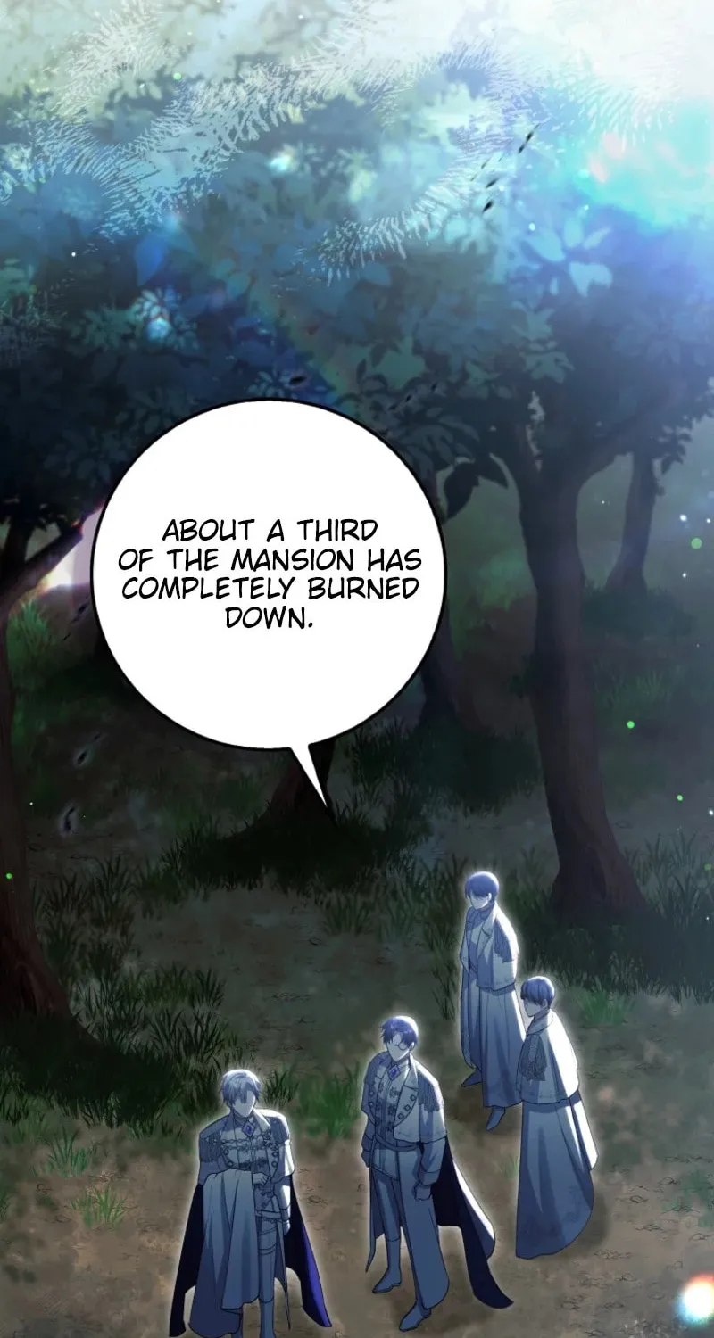 The Baby Fairy is a Villain Chapter 27 page 2 - 