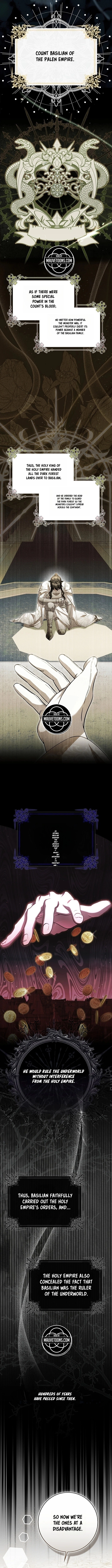 The Baby Fairy is a Villain Chapter 60.9 page 15 - 