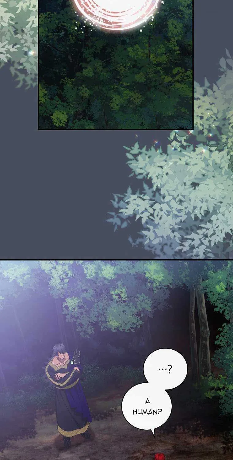 The Baby Isn’T Yours Chapter 36 page 34 - 