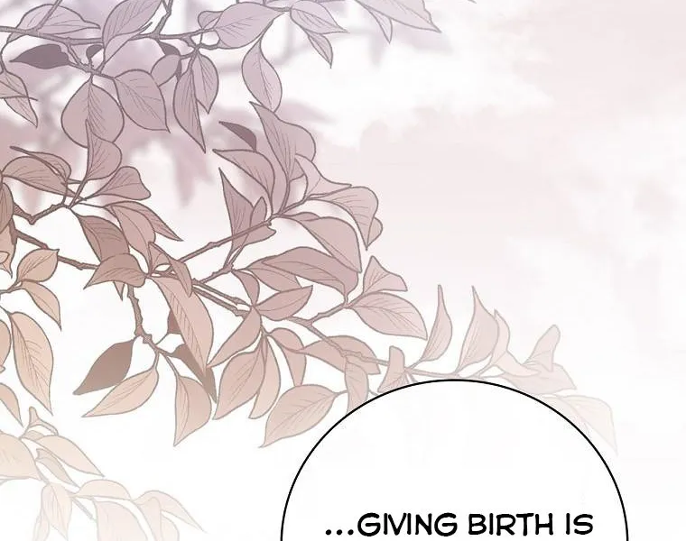 The Baby Isn’T Yours Chapter 43 page 80 - 