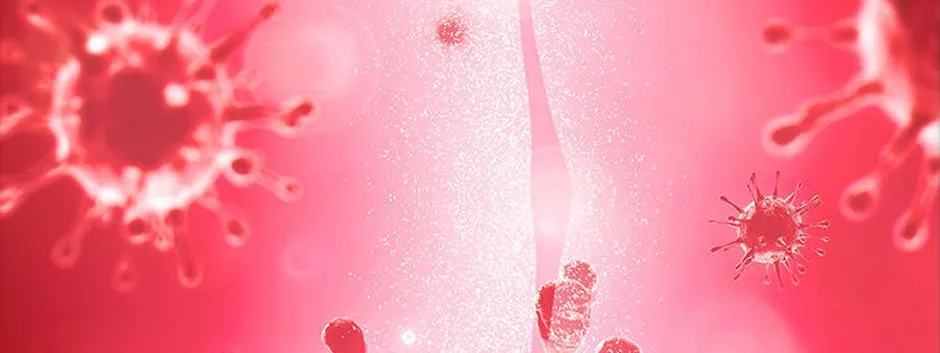 The Baby Isn’T Yours Chapter 68 page 56 - 