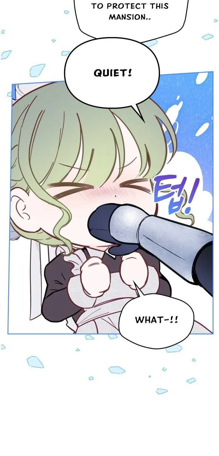 The Baby Prisoner in the Winter Castle Chapter 12 page 17 - 