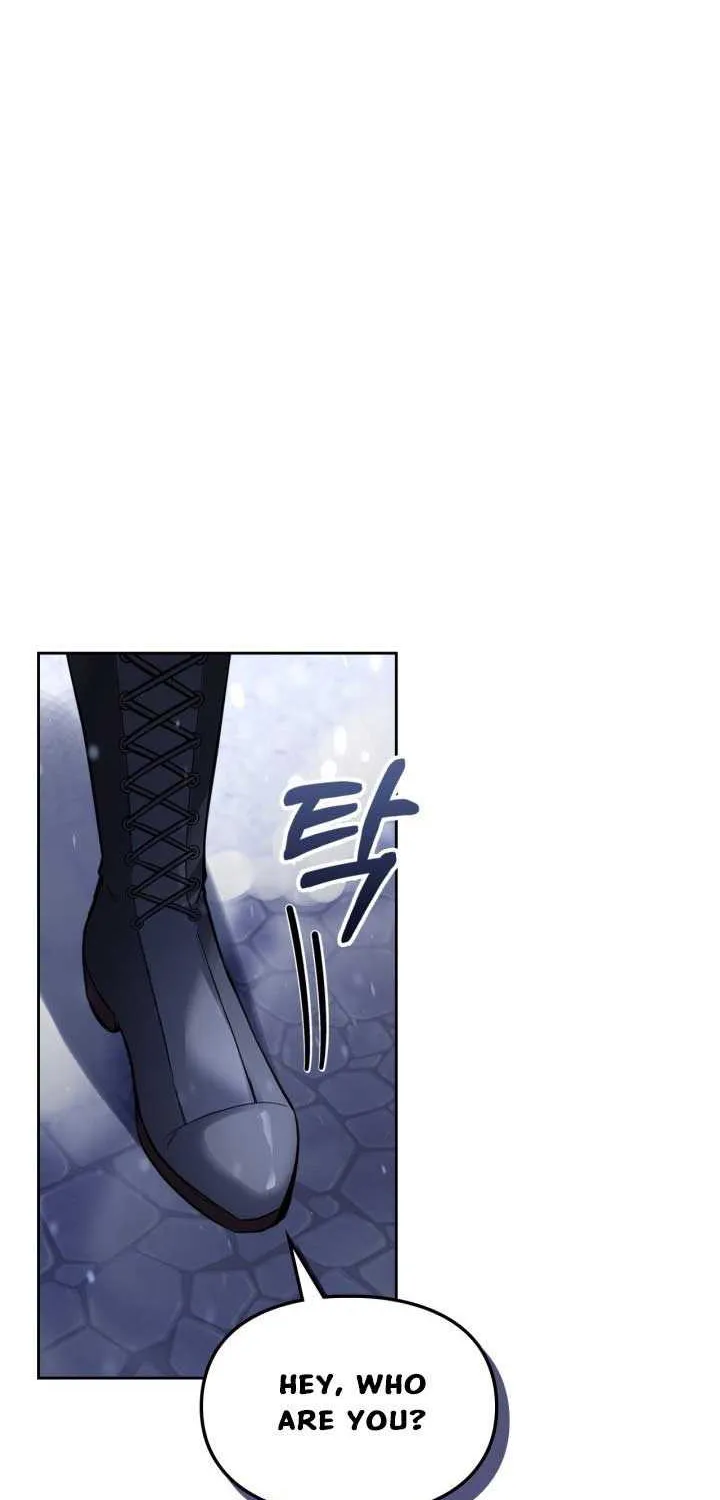 The Baby Prisoner in the Winter Castle Chapter 12 page 69 - 