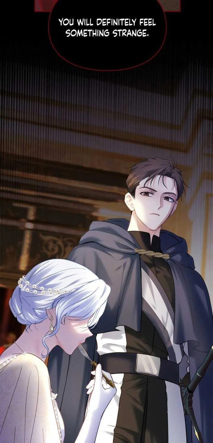 The Baby Prisoner in the Winter Castle Chapter 14 page 66 - 