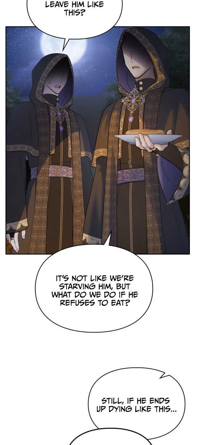 The Baby Prisoner in the Winter Castle Chapter 17 page 41 - 