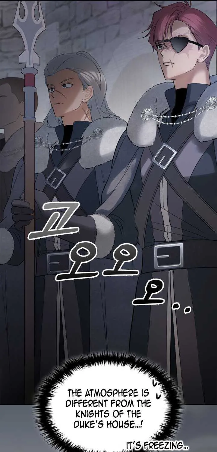 The Baby Prisoner in the Winter Castle Chapter 19 page 26 - 