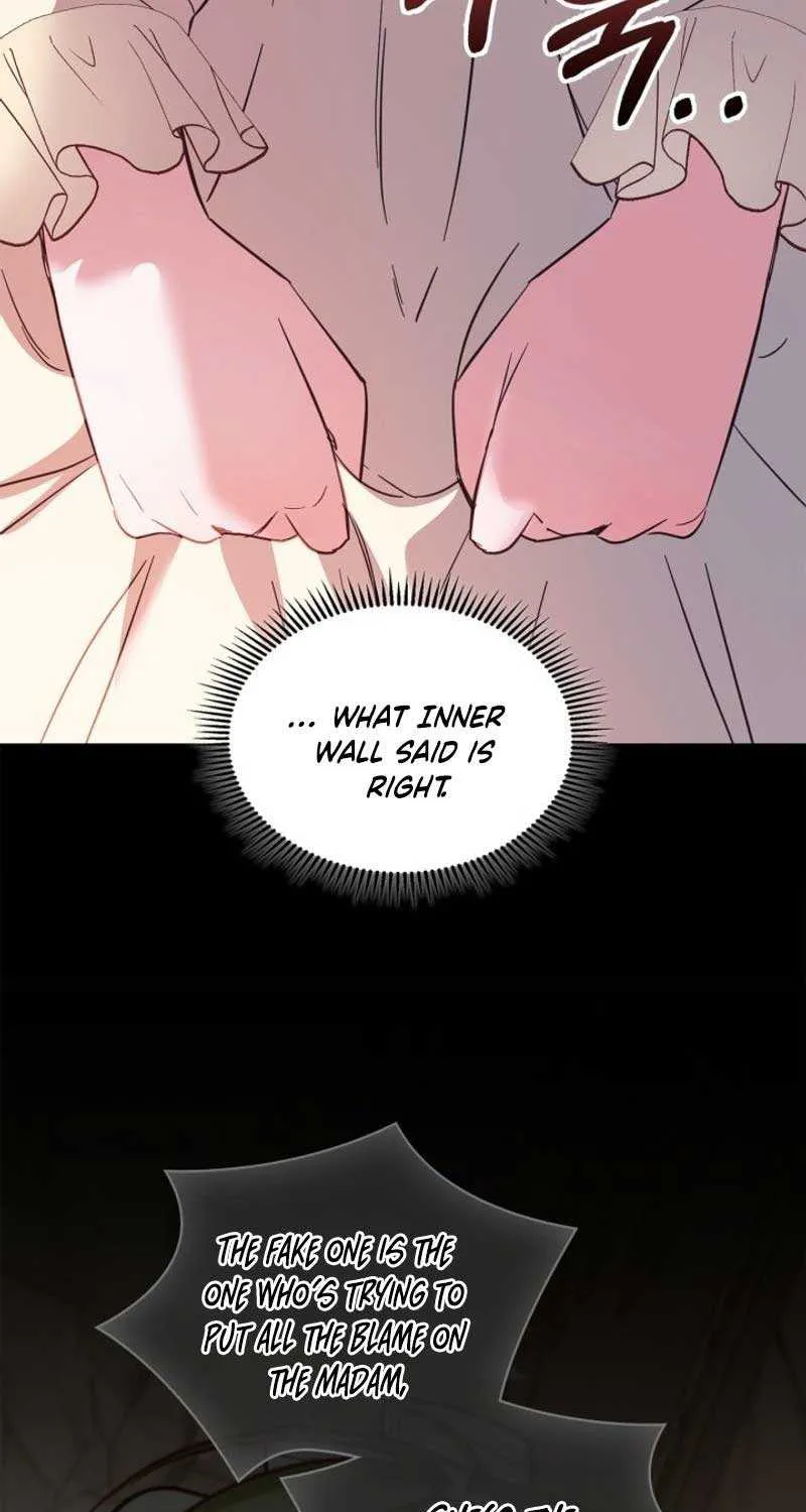 The Baby Prisoner in the Winter Castle Chapter 28 page 25 - 