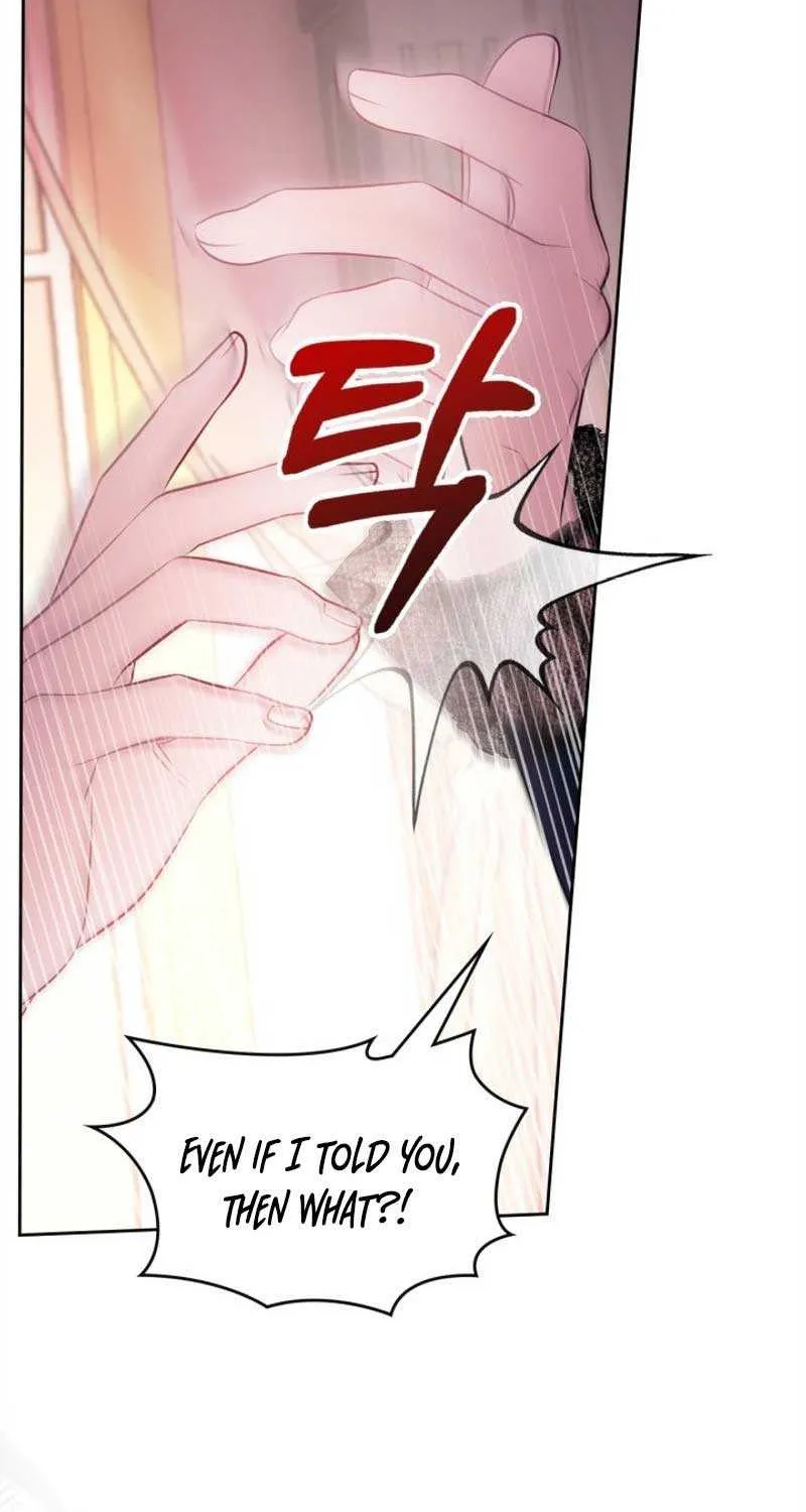 The Baby Prisoner in the Winter Castle Chapter 28 page 68 - 
