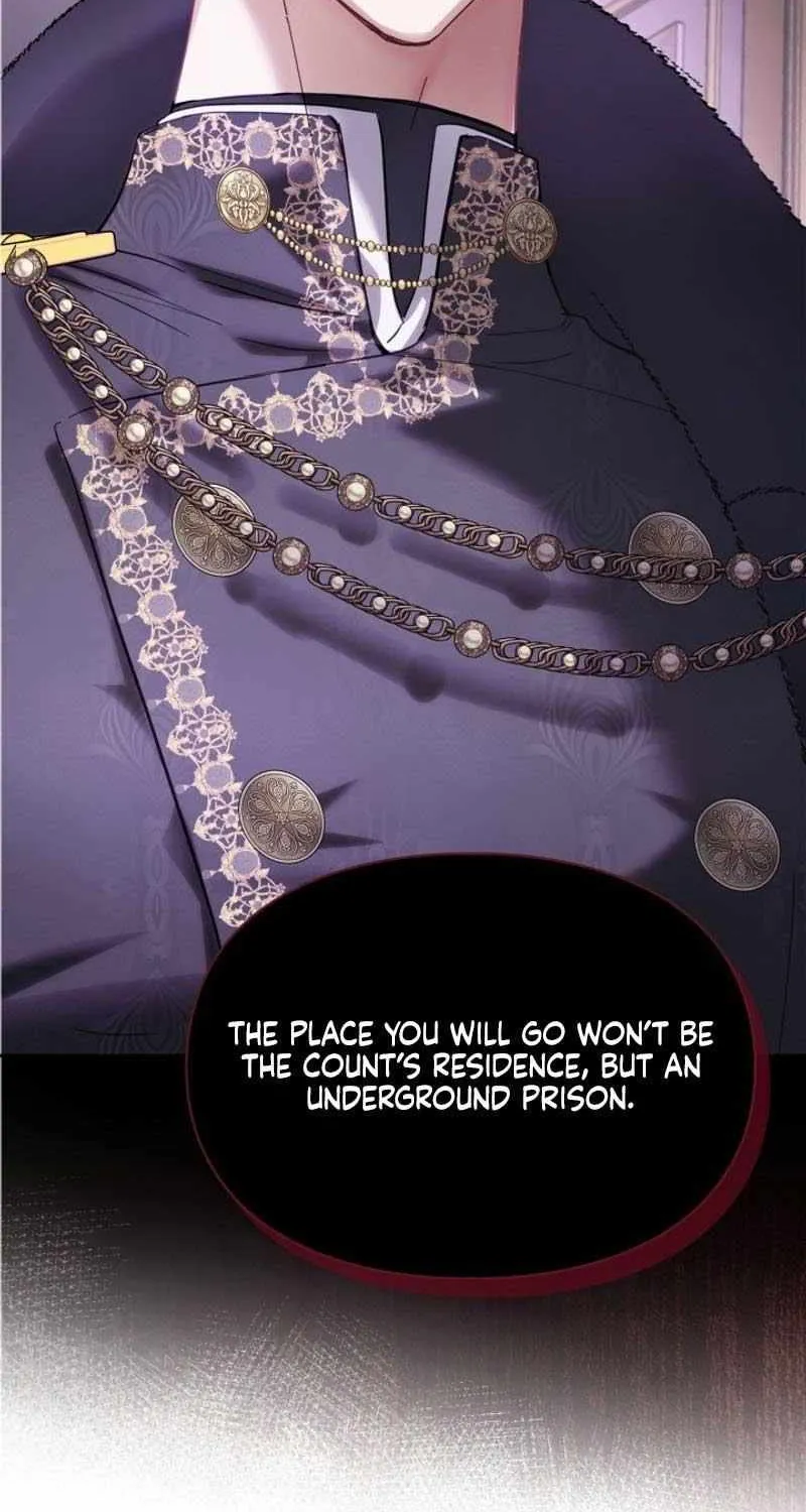 The Baby Prisoner in the Winter Castle Chapter 29 page 27 - 