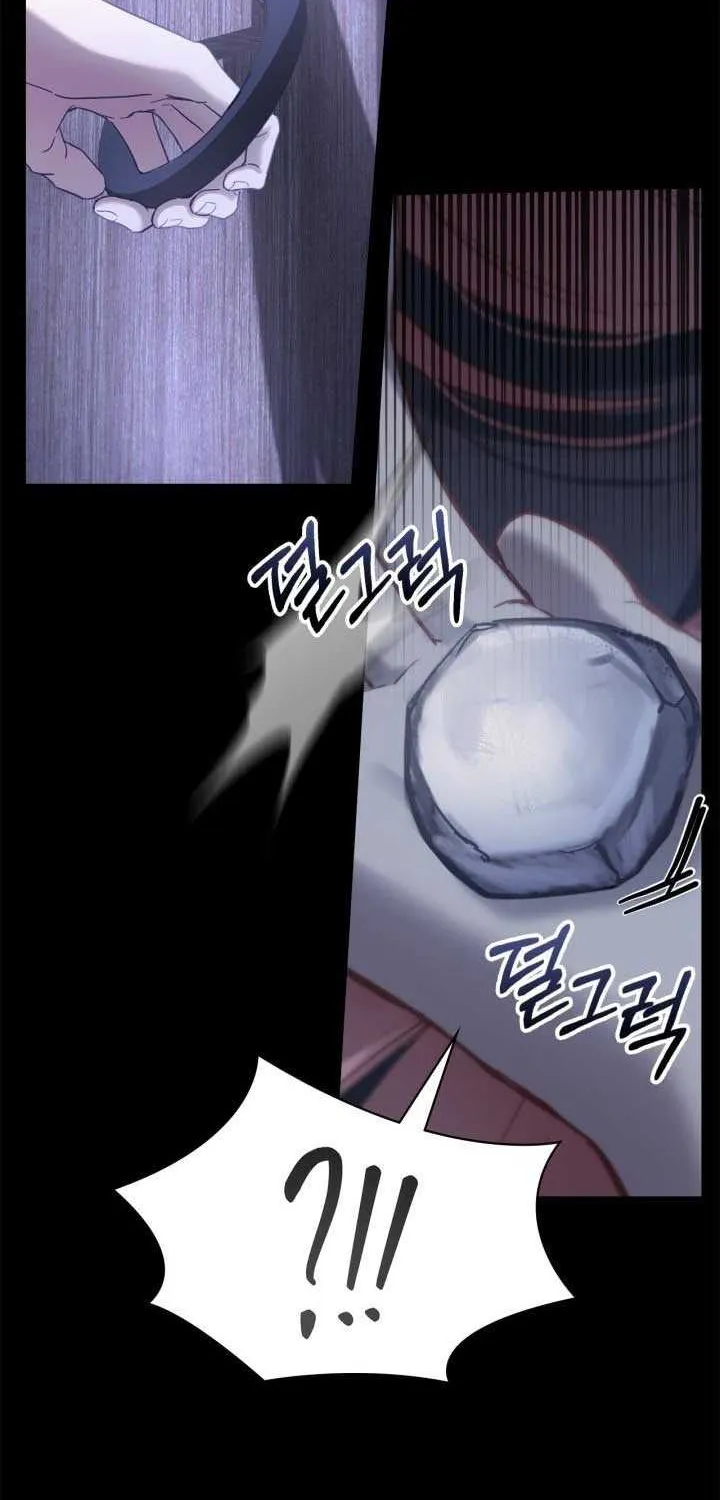 The Baby Prisoner in the Winter Castle Chapter 5 page 66 - 