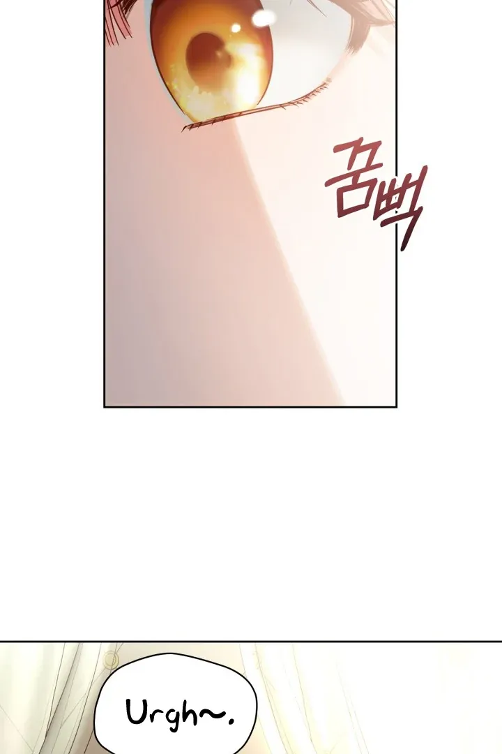 The Baby Prisoner in the Winter Castle Chapter 56 page 28 - 