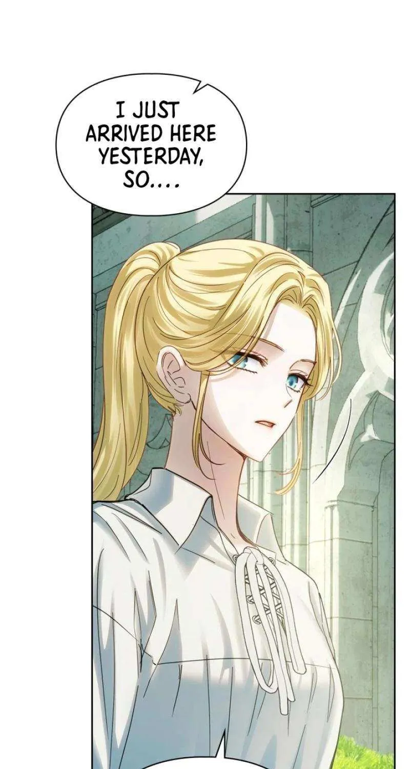 The Baby Prisoner in the Winter Castle Chapter 58 page 45 - 